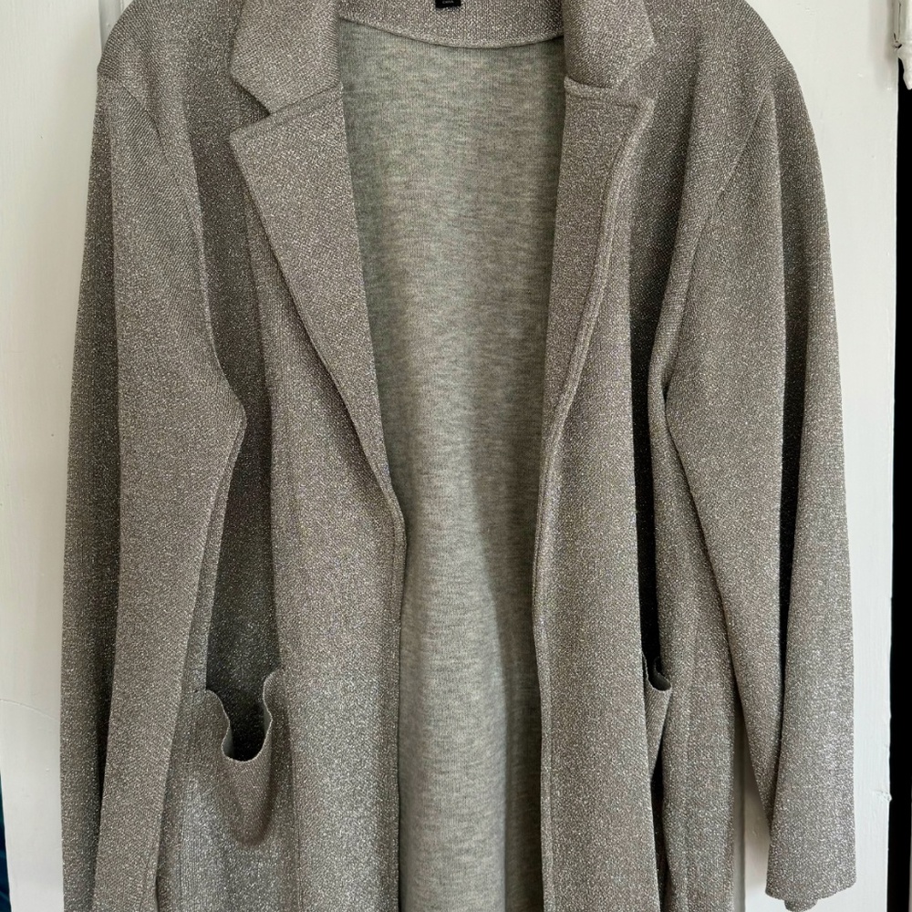 J Crew Sophie Silver Sparkly Knit Blazer (M)